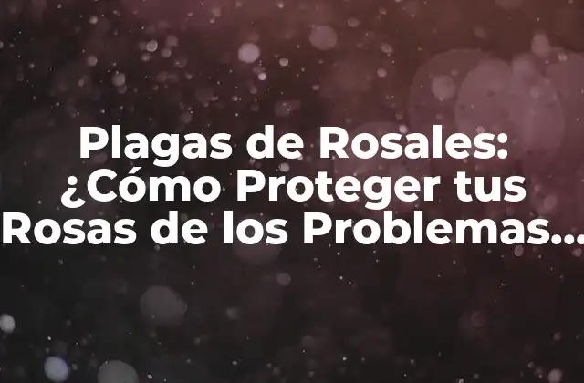 Plagas de Rosales: ¿cómo Proteger Tus Rosas de los Problemas Comunes?