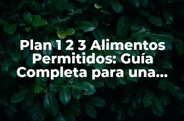 Plan 1 2 3 Alimentos Permitidos: Guía Completa para una Dieta Saludable