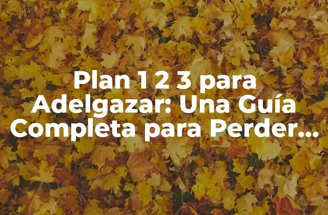 Plan 1 2 3 para Adelgazar: una Guía Completa para Perder Peso de Forma Saludable
