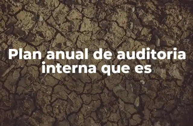Plan Anual de Auditoria Interna que es