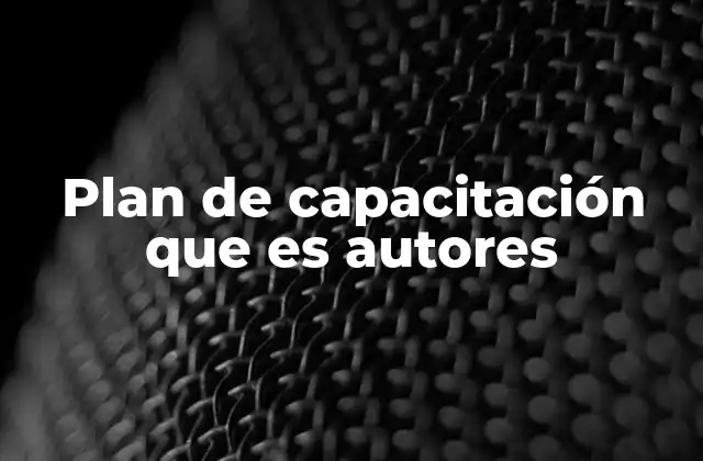 Plan de Capacitación que es Autores
