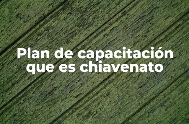Plan de Capacitación que es Chiavenato