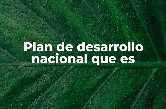 Plan de Desarrollo Nacional que es