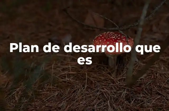 Plan de Desarrollo que es