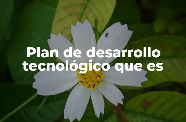 Plan de Desarrollo Tecnológico que es