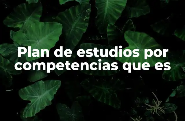 Plan de Estudios por Competencias que es