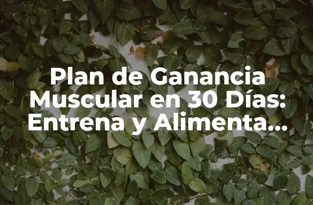 Plan de Ganancia Muscular en 30 Días: Entrena y Alimenta para Lograr Resultados Rápidos