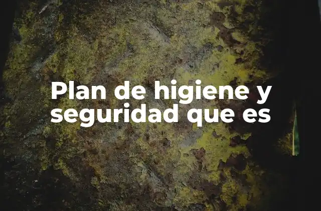 Plan de Higiene y Seguridad que es