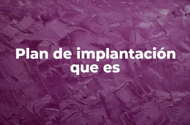 Plan de Implantación que es