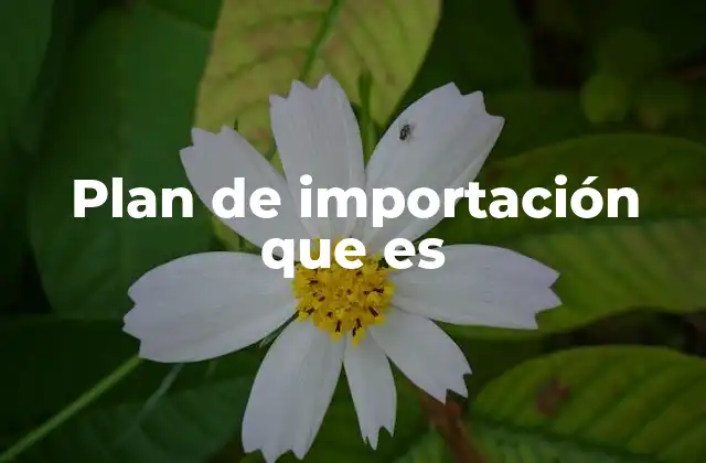 Importancia de contar con una estrategia clara para importar productos