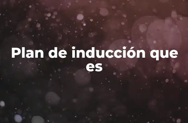 Plan de Inducción que es