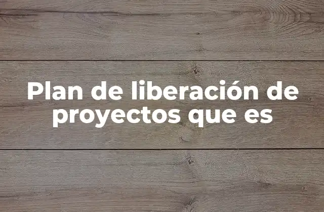 La importancia de estructurar correctamente la liberación de un proyecto