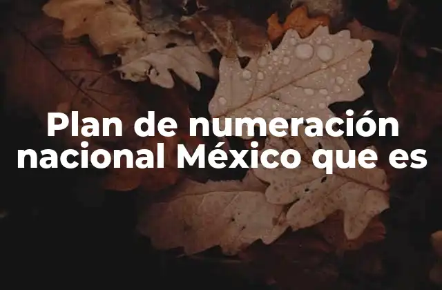 Plan de Numeración Nacional México que es