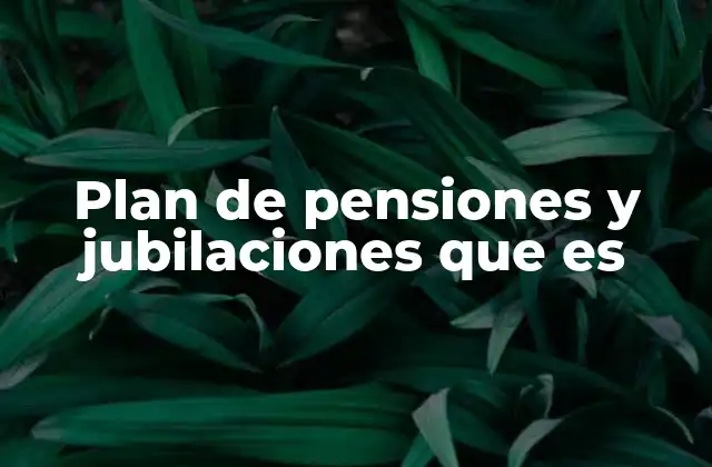 Plan de Pensiones y Jubilaciones que es