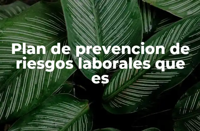 Plan de Prevencion de Riesgos Laborales que es