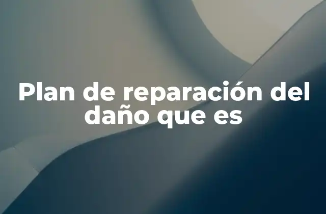 Plan de Reparación Del Daño que es