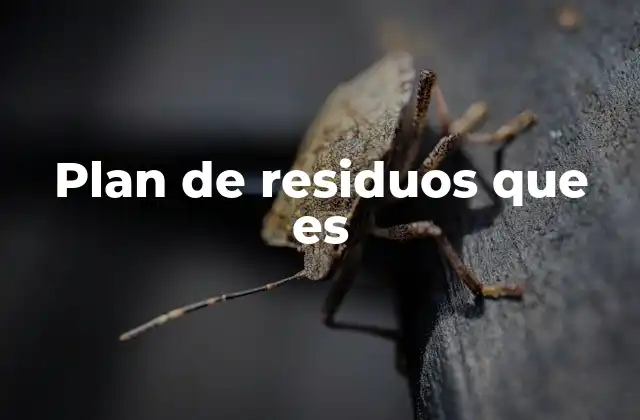 La importancia de una gestión adecuada de los residuos