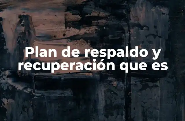Plan de Respaldo y Recuperación que es