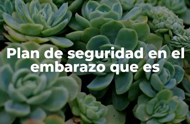 Plan de Seguridad en el Embarazo que es