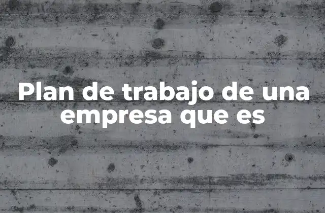 Plan de Trabajo de una Empresa que es 2 La importancia de estructurar actividades empresariales de forma organizada