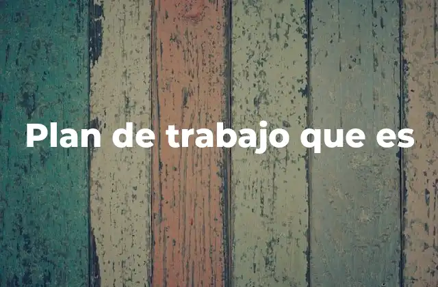 Plan de Trabajo que es