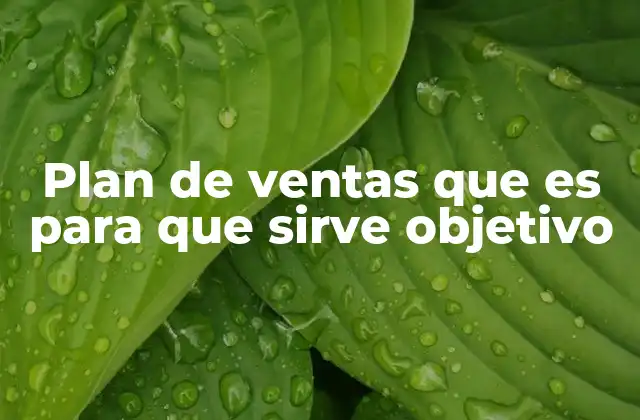 Plan de Ventas que es para que Sirve Objetivo