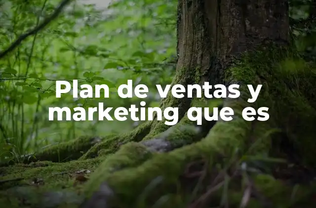 Plan de Ventas y Marketing que es