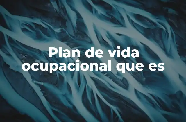Plan de Vida Ocupacional que es 2 La importancia de estructurar una vida profesional con propósito