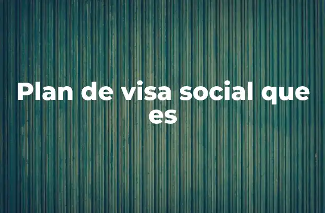 Plan de Visa Social que es