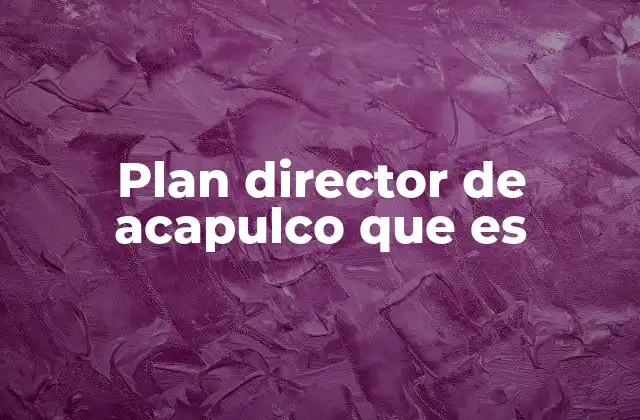 Plan Director de Acapulco que es