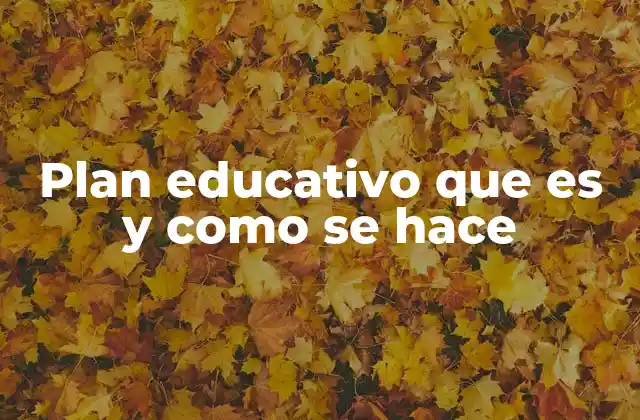 Plan Educativo que es y como Se Hace
