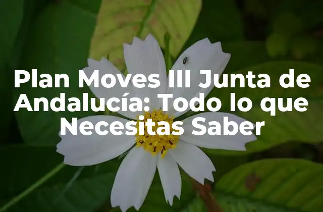 Plan Moves Iii Junta de Andalucía: Todo Lo que Necesitas Saber 2 ¿Qué es el Plan Moves III de la Junta de Andalucía?
