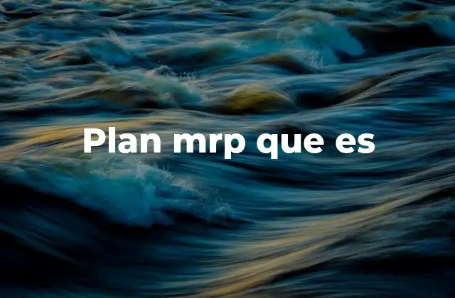Plan Mrp que es