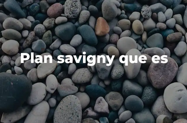 Plan Savigny que es