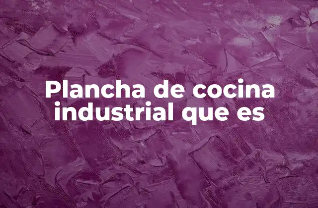Plancha de Cocina Industrial que es