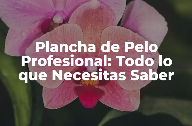 Plancha de Pelo Profesional: Todo Lo que Necesitas Saber