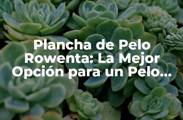 Plancha de Pelo Rowenta: la Mejor Opción para un Pelo Liso y Brillante