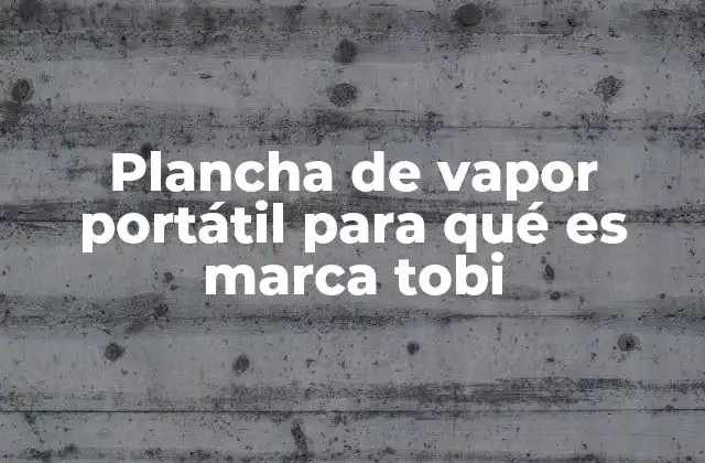 Plancha de Vapor Portátil para Qué es Marca Tobi