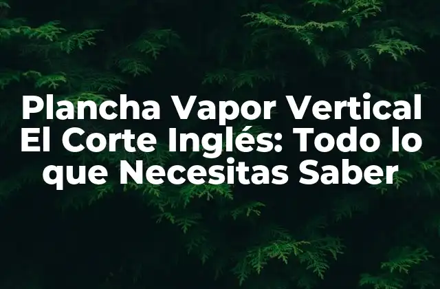 Plancha Vapor Vertical el Corte Inglés: Todo Lo que Necesitas Saber
