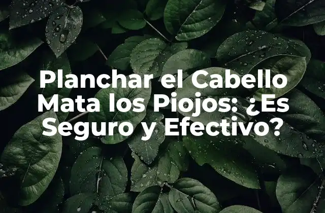 ¿Cómo Funciona Planchar el Cabello para Matar Piojos?