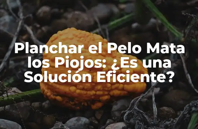 Planchar el Pelo Mata los Piojos: ¿es una Solución Eficiente?