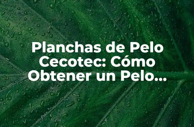 Planchas de Pelo Cecotec: Cómo Obtener un Pelo Brillante y Sano