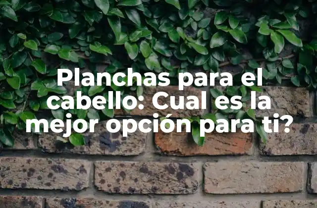 Planchas para el Cabello: Cual es la Mejor Opción para Ti?
