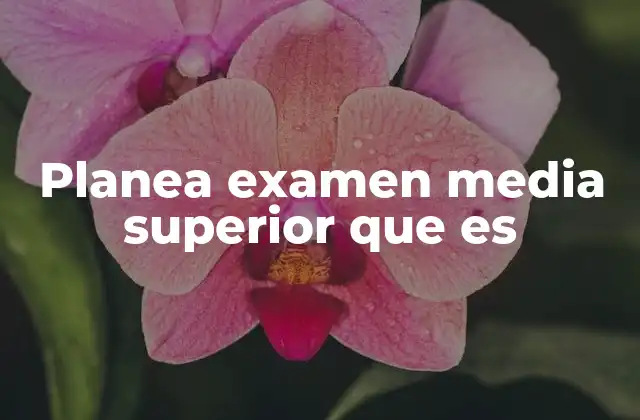 Planea Examen Media Superior que es