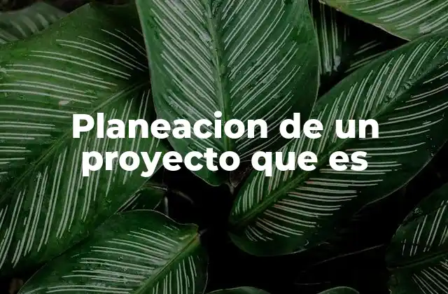 Planeacion de un Proyecto que es
