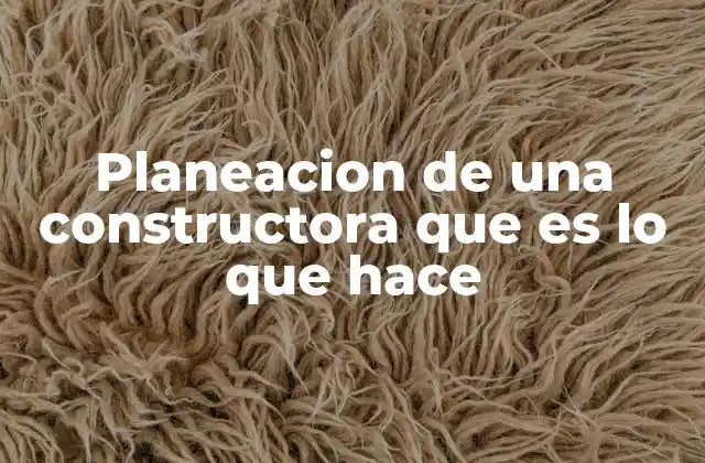 Planeacion de una Constructora que es Lo que Hace