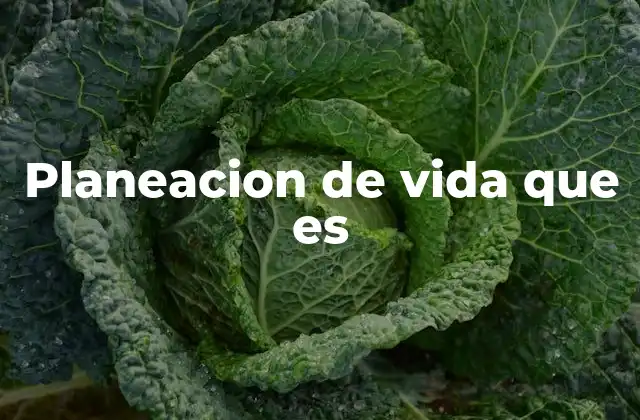 Planeacion de Vida que es 2 La importancia de estructurar tu futuro