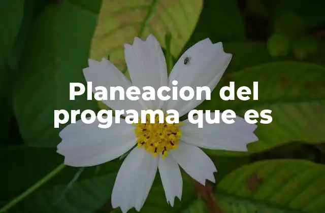 Cómo se estructura la planificación de un programa