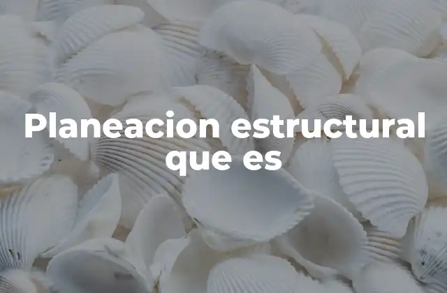 Planeacion Estructural que es