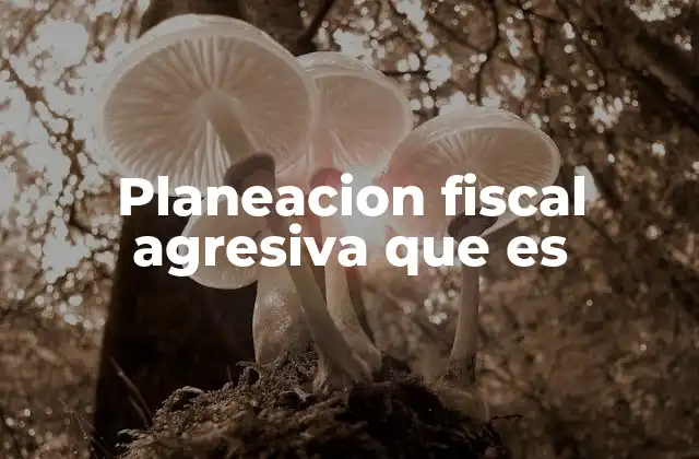 Planeacion Fiscal Agresiva que es